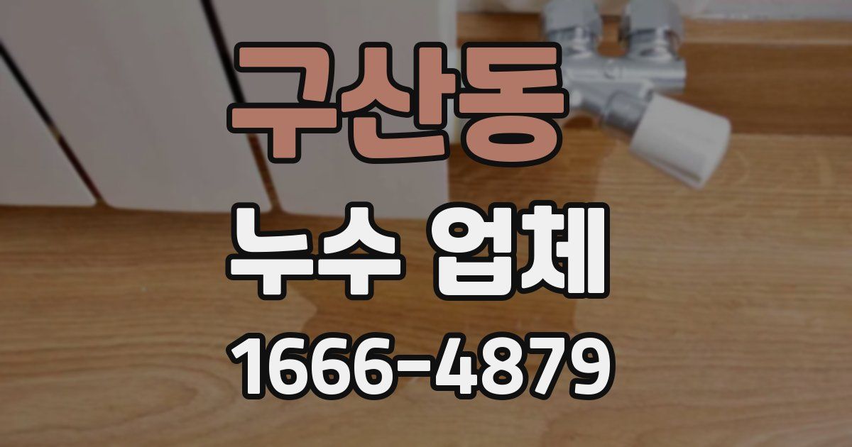 구산동 누수 업체