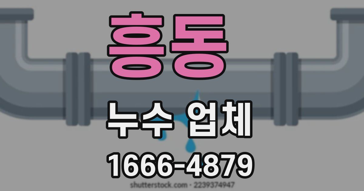 흥동 누수 업체