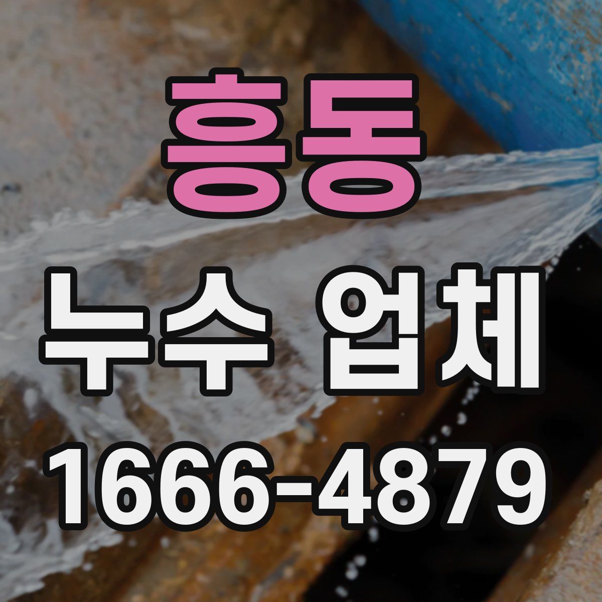 흥동 누수 업체