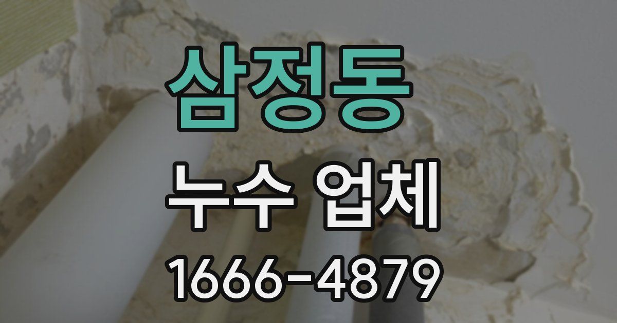 삼정동 누수 업체