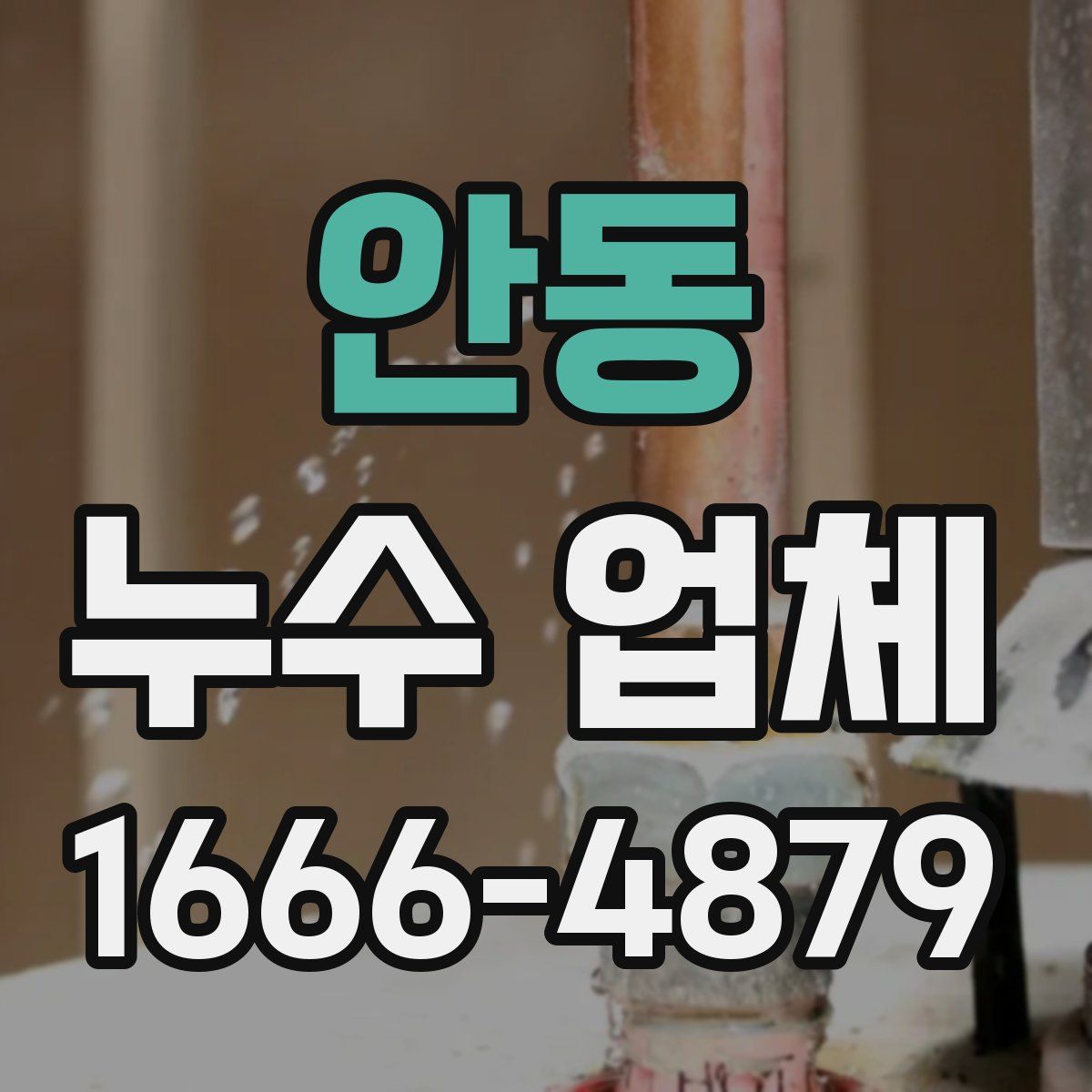 안동 누수 업체