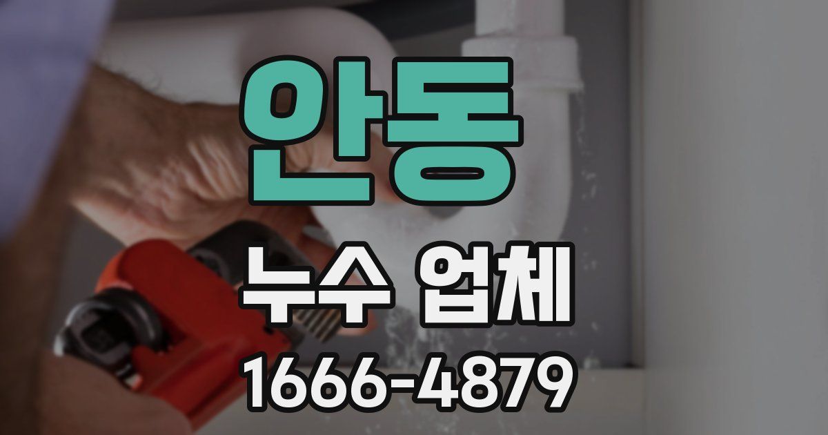 안동 누수 업체