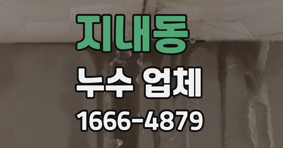 지내동 누수 업체