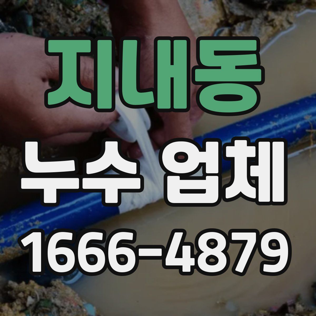 지내동 누수 업체