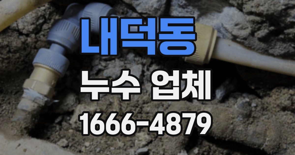 내덕동 누수 업체
