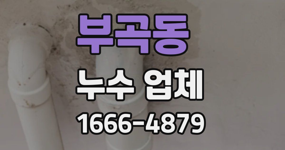 부곡동 누수 업체