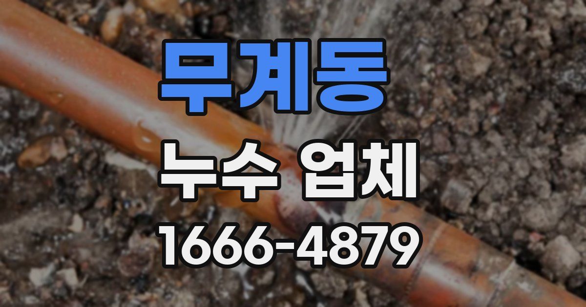 무계동 누수 업체