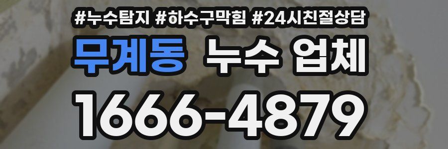 무계동 누수 업체