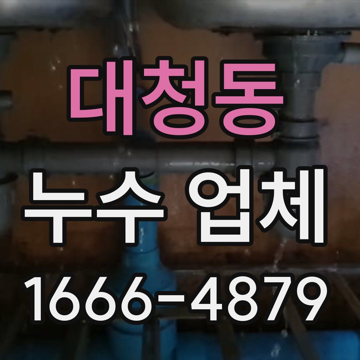 대청동 누수 업체