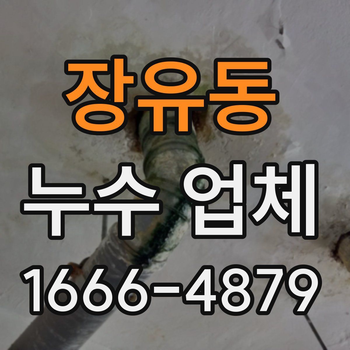 장유동 누수 업체