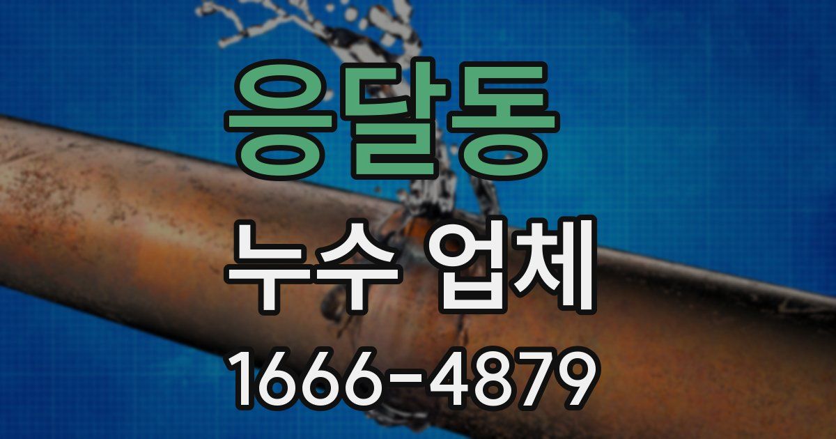 응달동 누수 업체