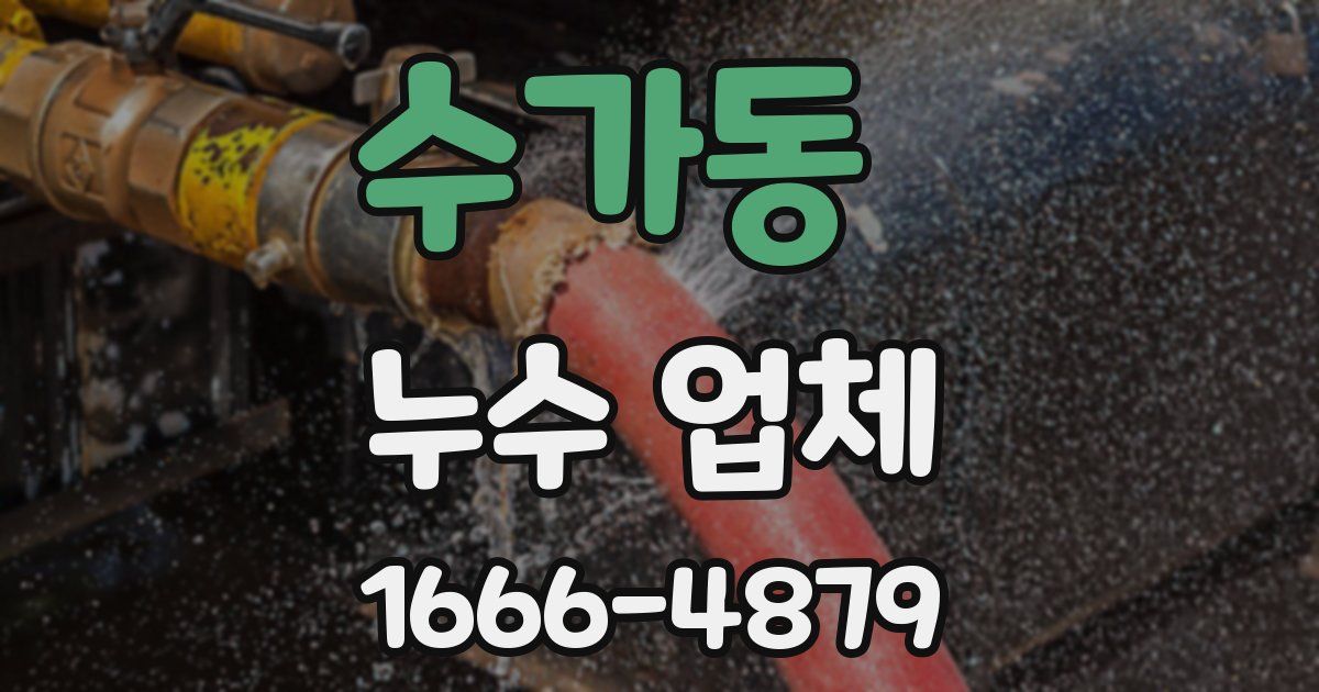 수가동 누수 업체