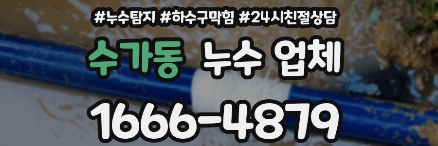 수가동 누수 업체
