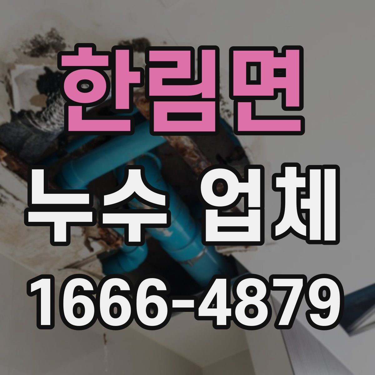 한림면 누수 업체