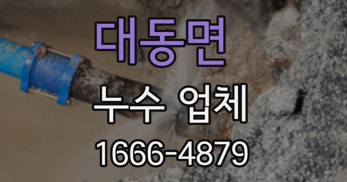 대동면 누수 업체