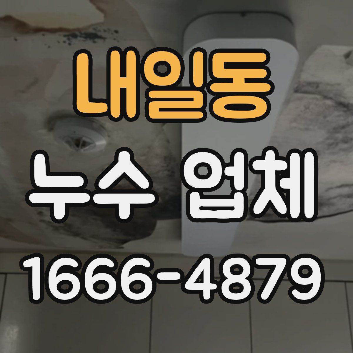 내일동 누수 업체
