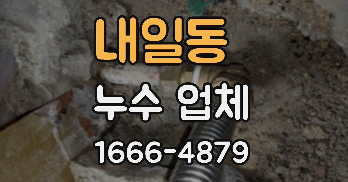 내일동 누수 업체
