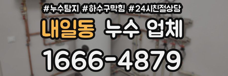 내일동 누수 업체