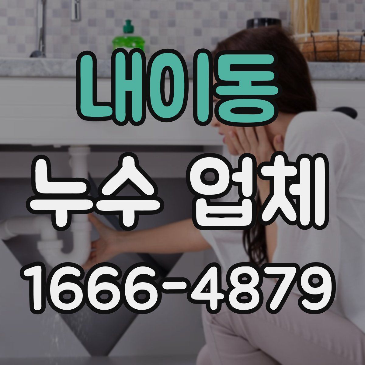 내이동 누수 업체