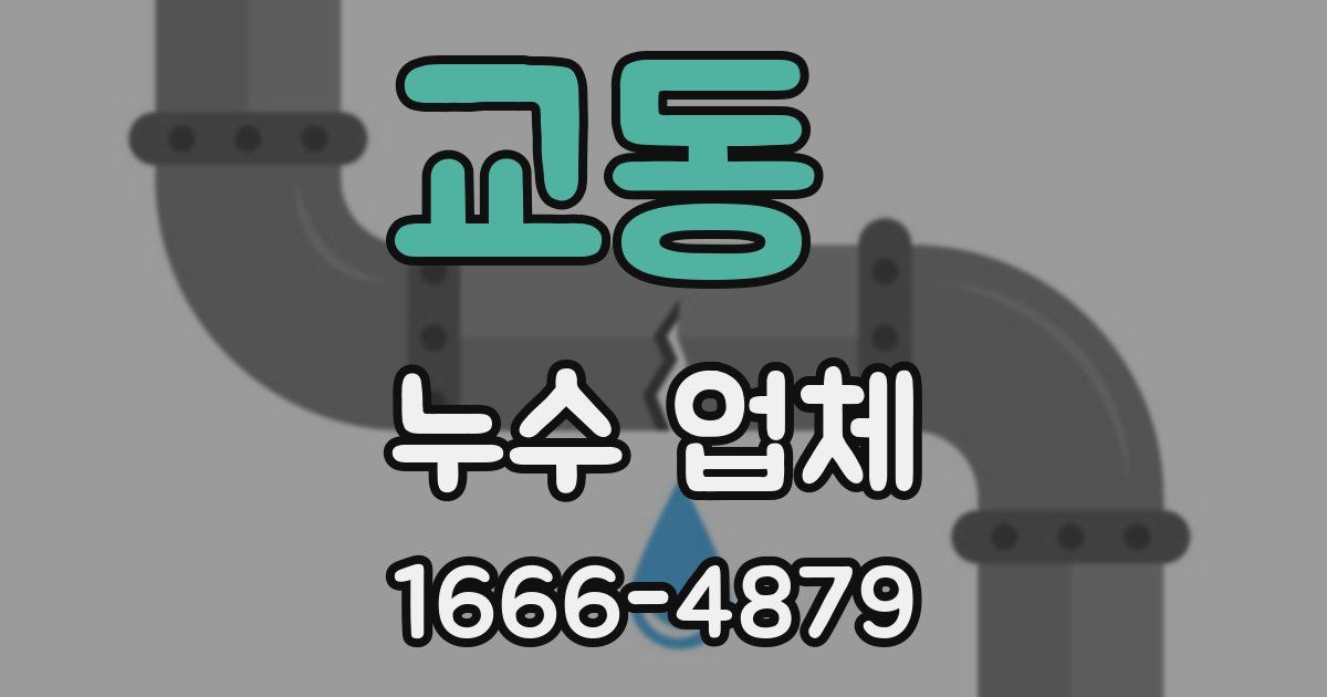 교동 누수 업체