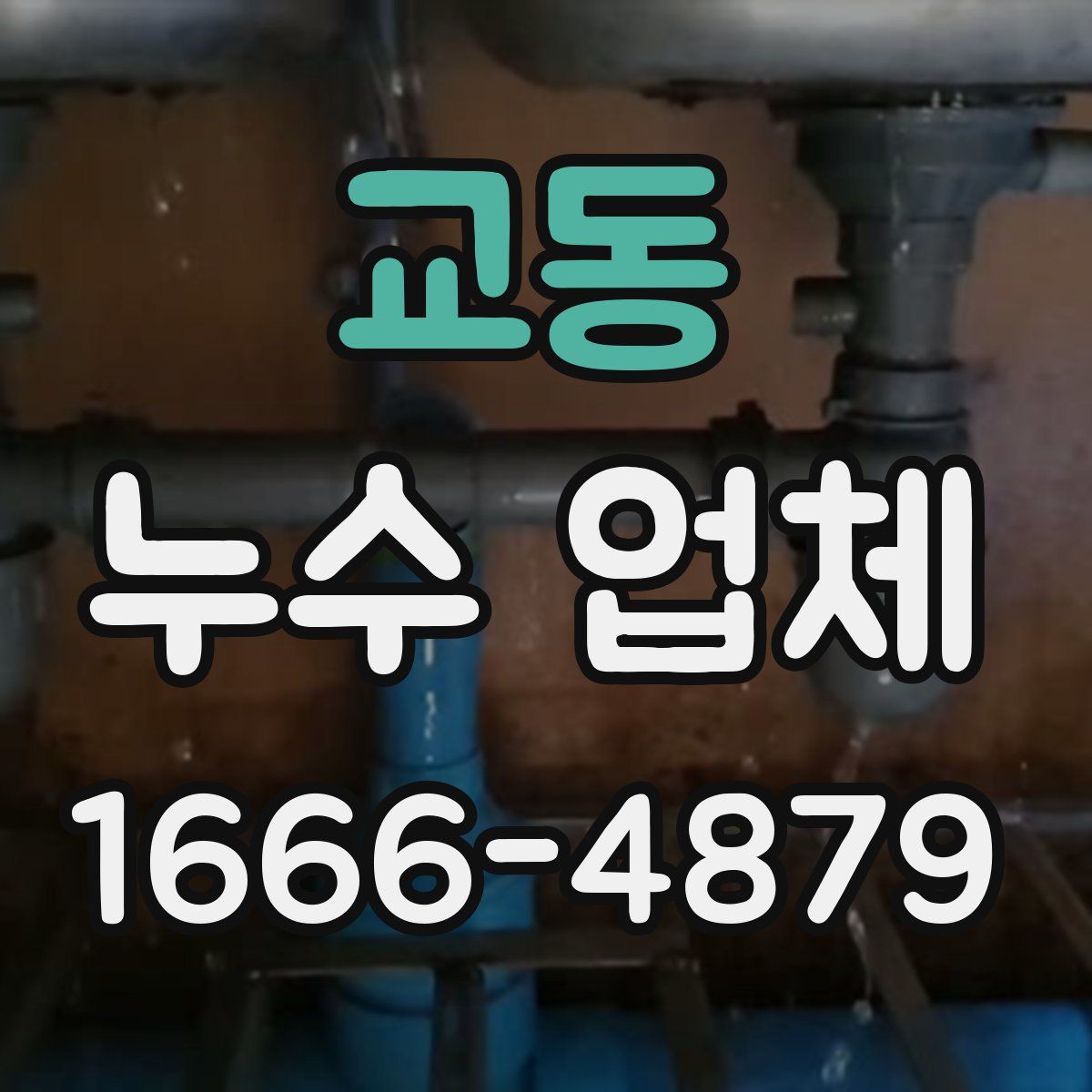 교동 누수 업체