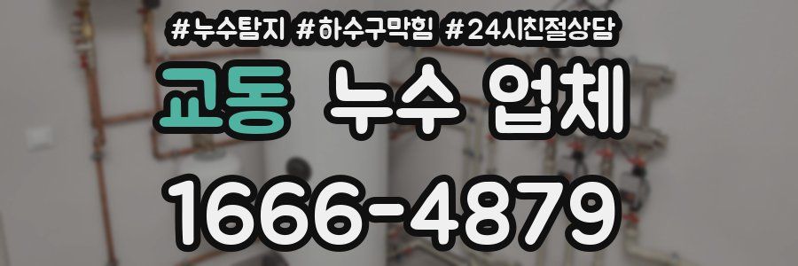 교동 누수 업체