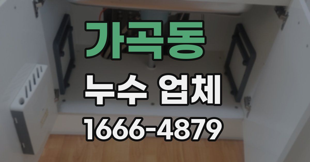 가곡동 누수 업체