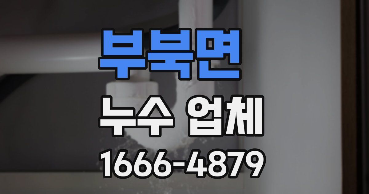 부북면 누수 업체