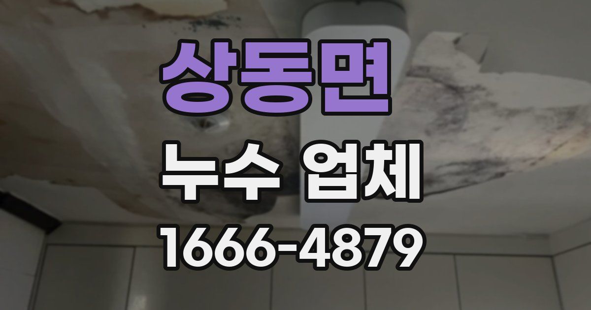 상동면 누수 업체