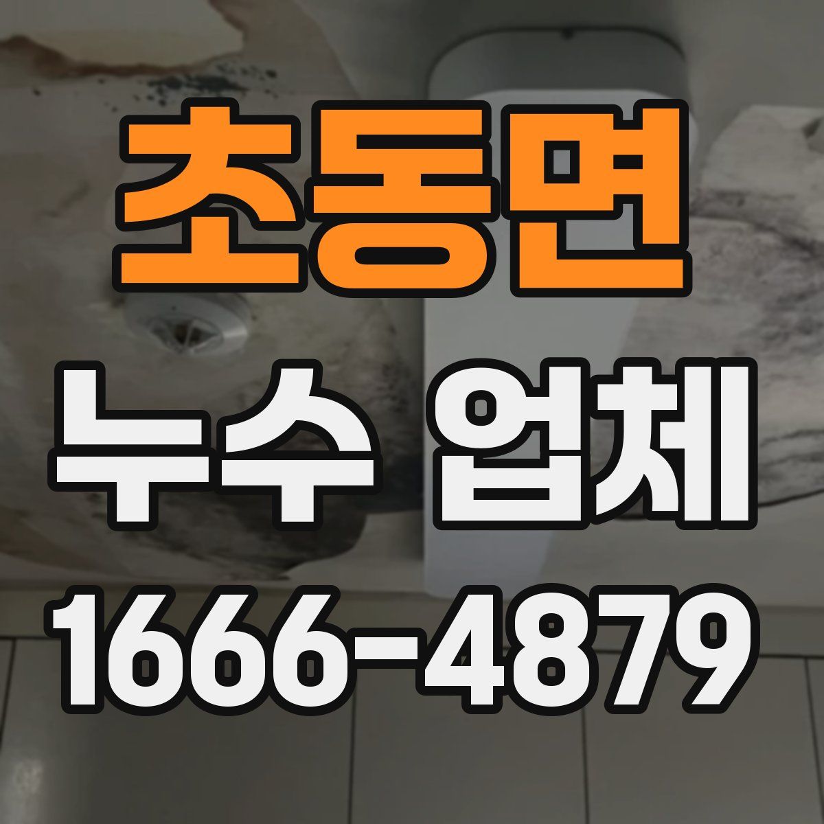 초동면 누수 업체