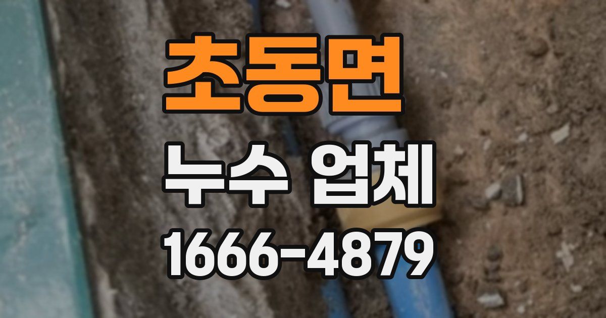 초동면 누수 업체