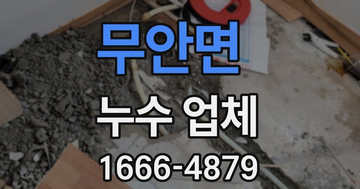 무안면 누수 업체