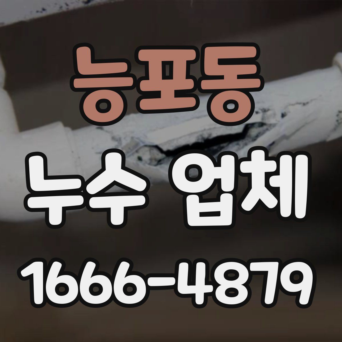 능포동 누수 업체