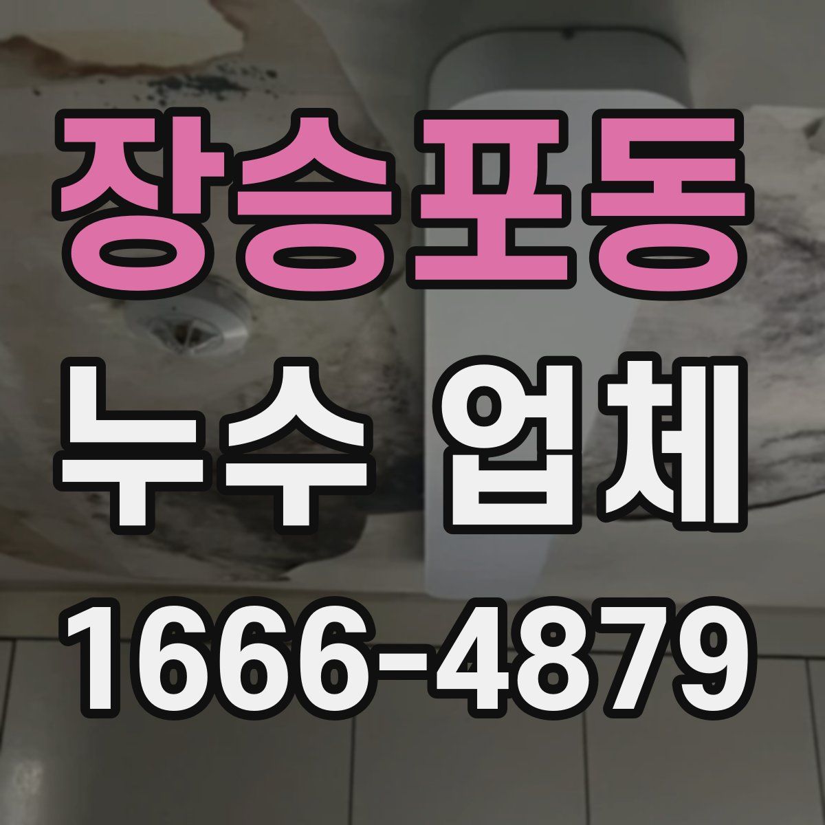 장승포동 누수 업체