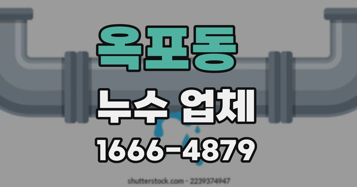 옥포동 누수 업체