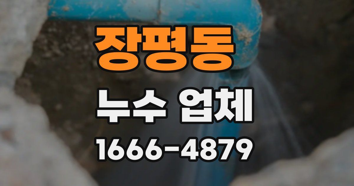 장평동 누수 업체