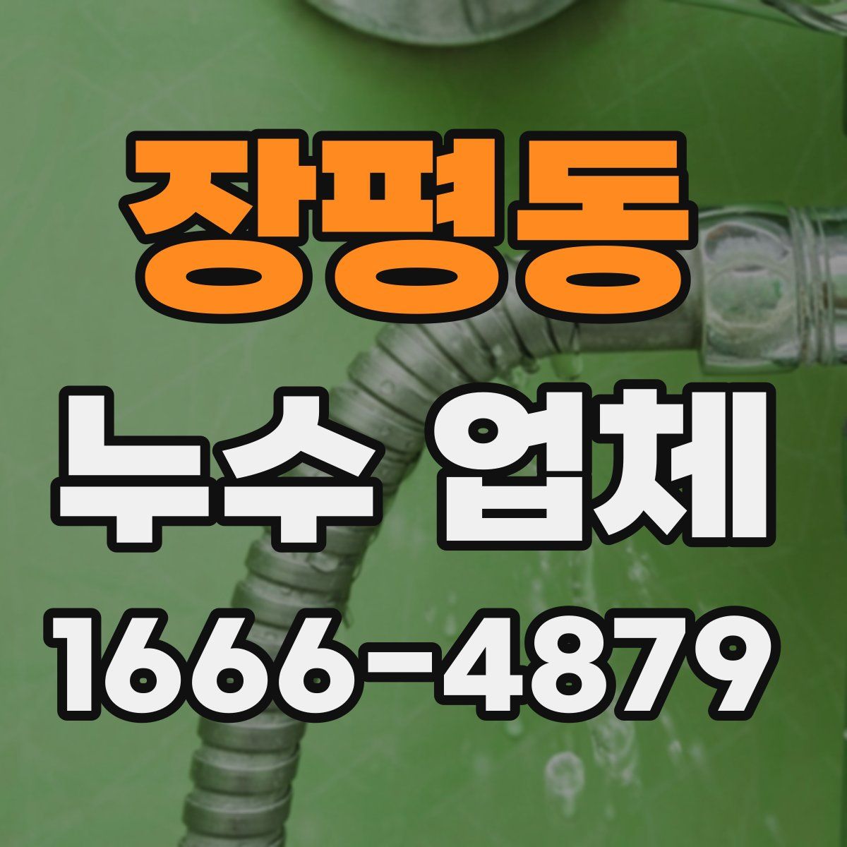 장평동 누수 업체