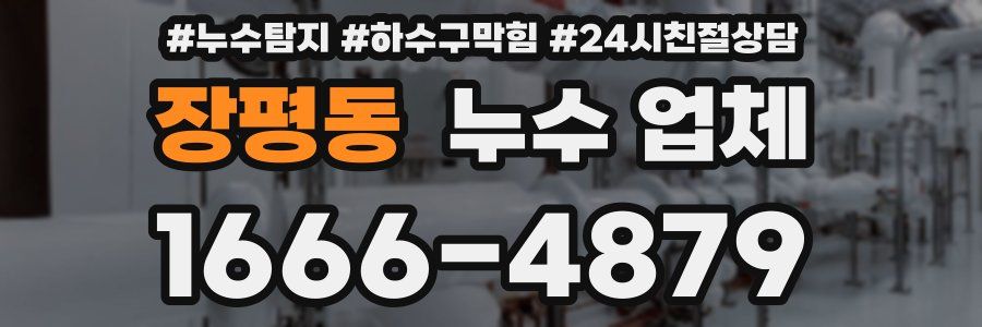 장평동 누수 업체