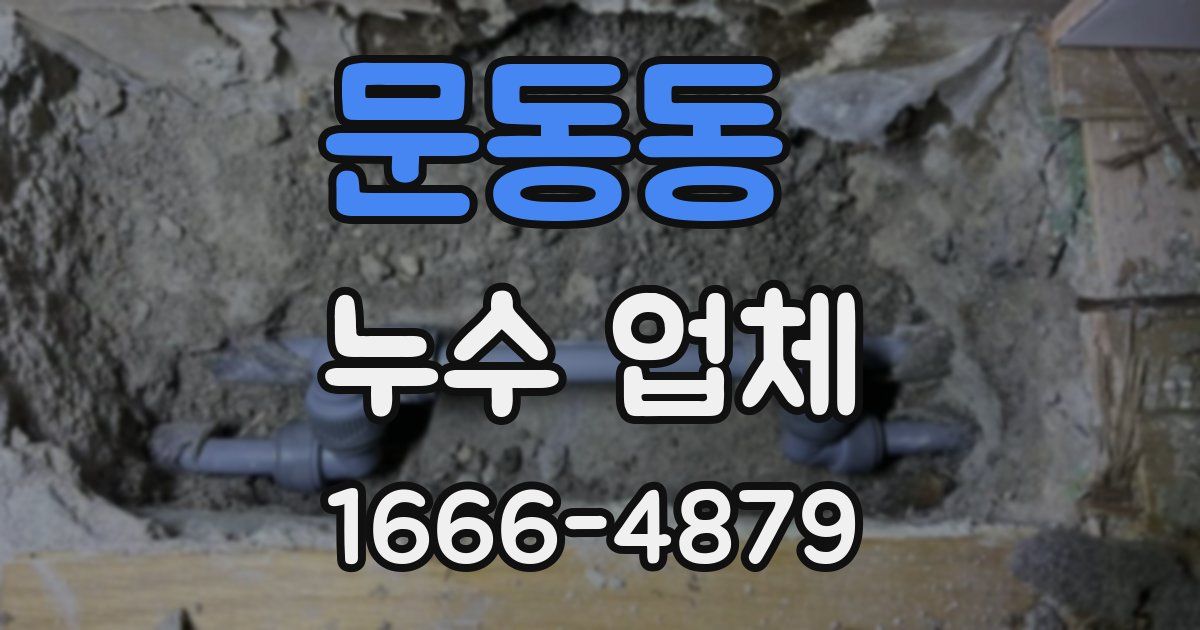 문동동 누수 업체