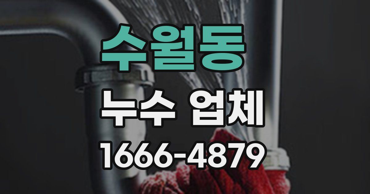 수월동 누수 업체