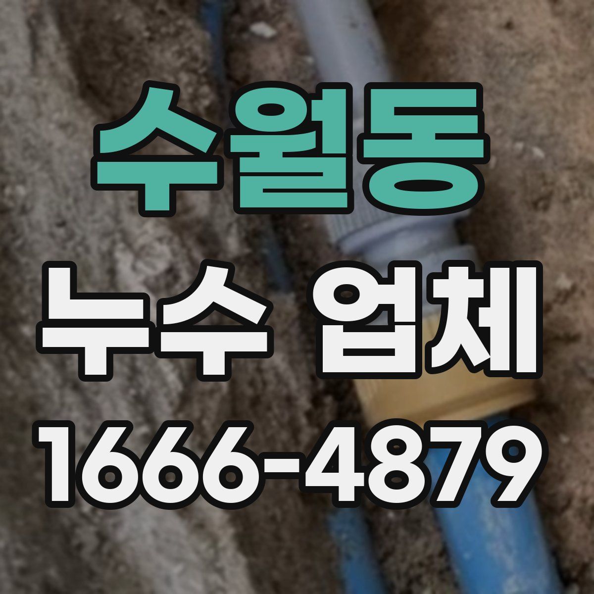 수월동 누수 업체