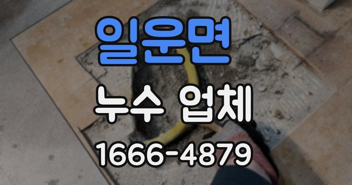 일운면 누수 업체