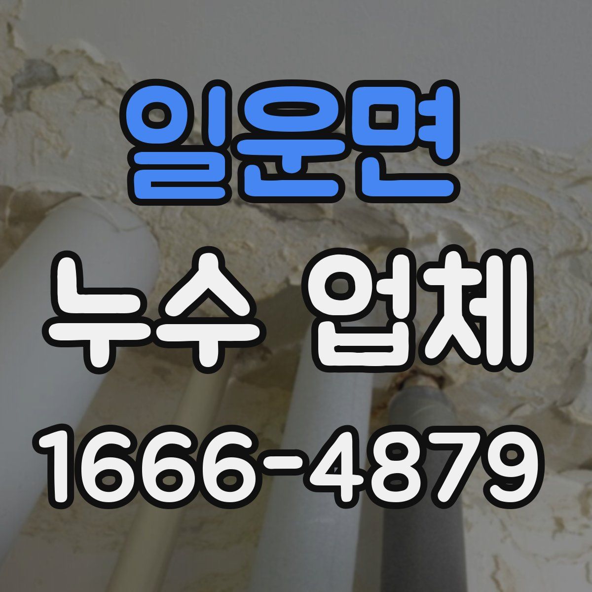 일운면 누수 업체