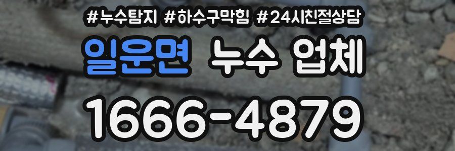 일운면 누수 업체