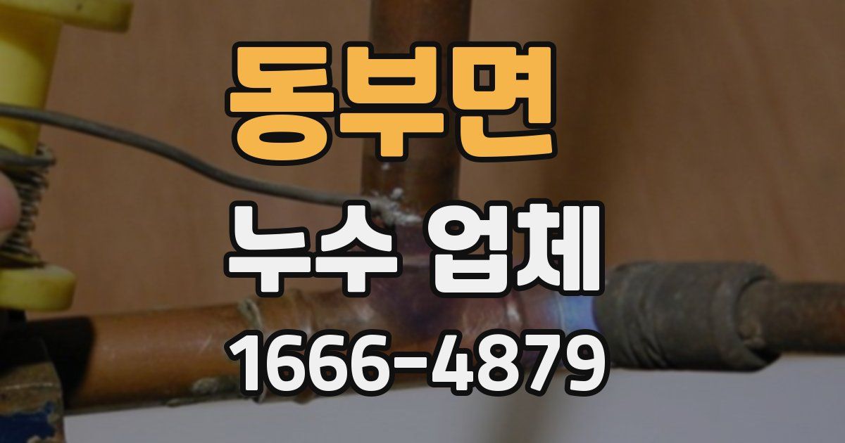동부면 누수 업체