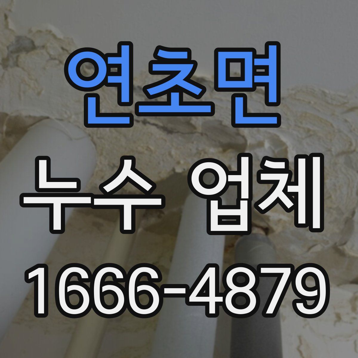 연초면 누수 업체