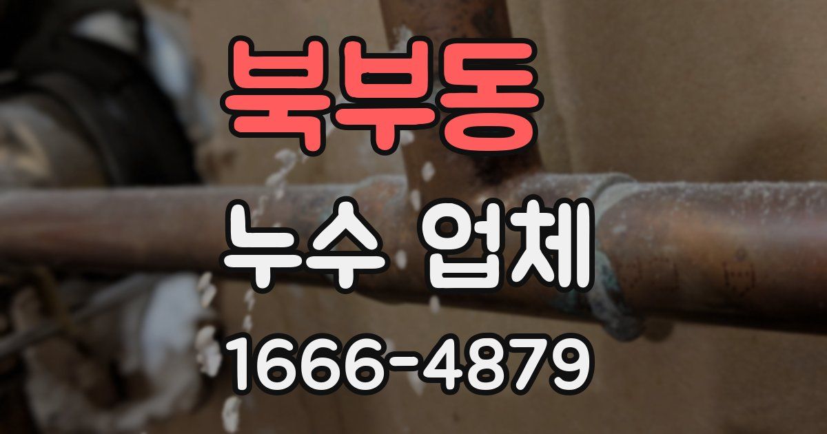 북부동 누수 업체