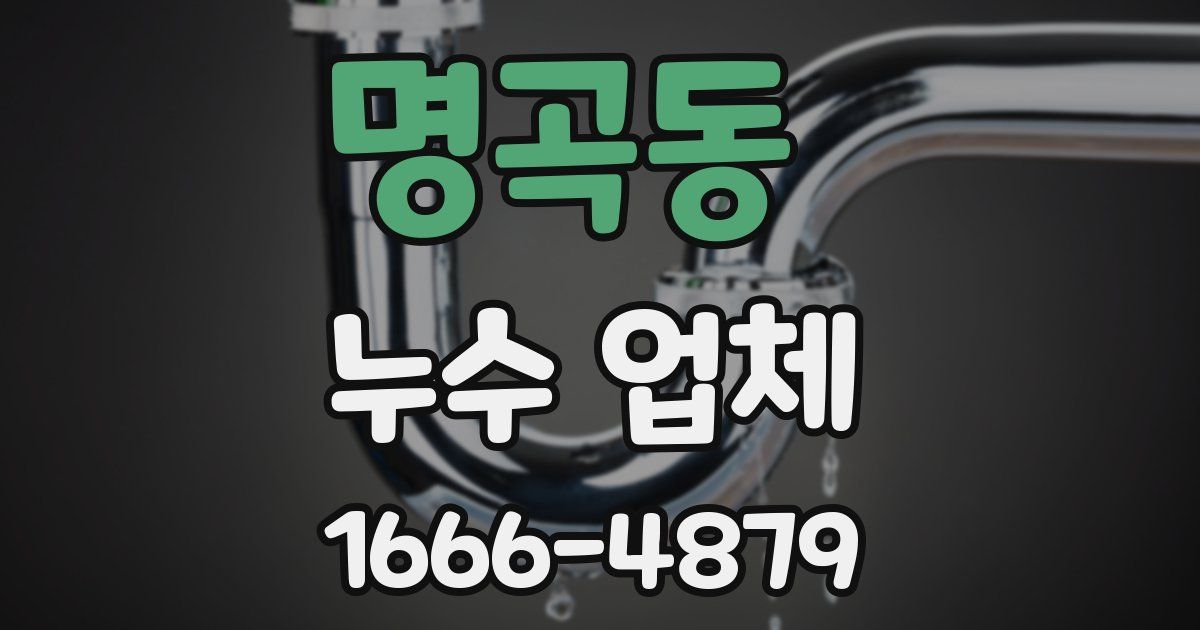 명곡동 누수 업체