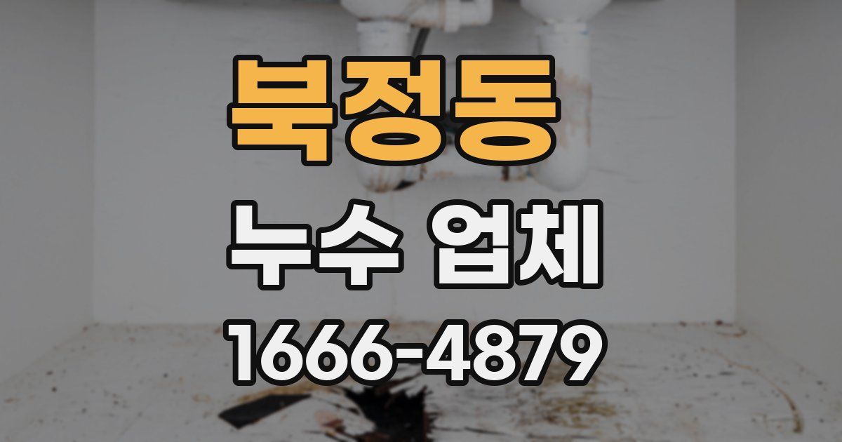 북정동 누수 업체