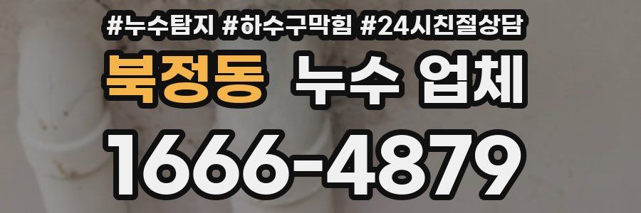 북정동 누수 업체